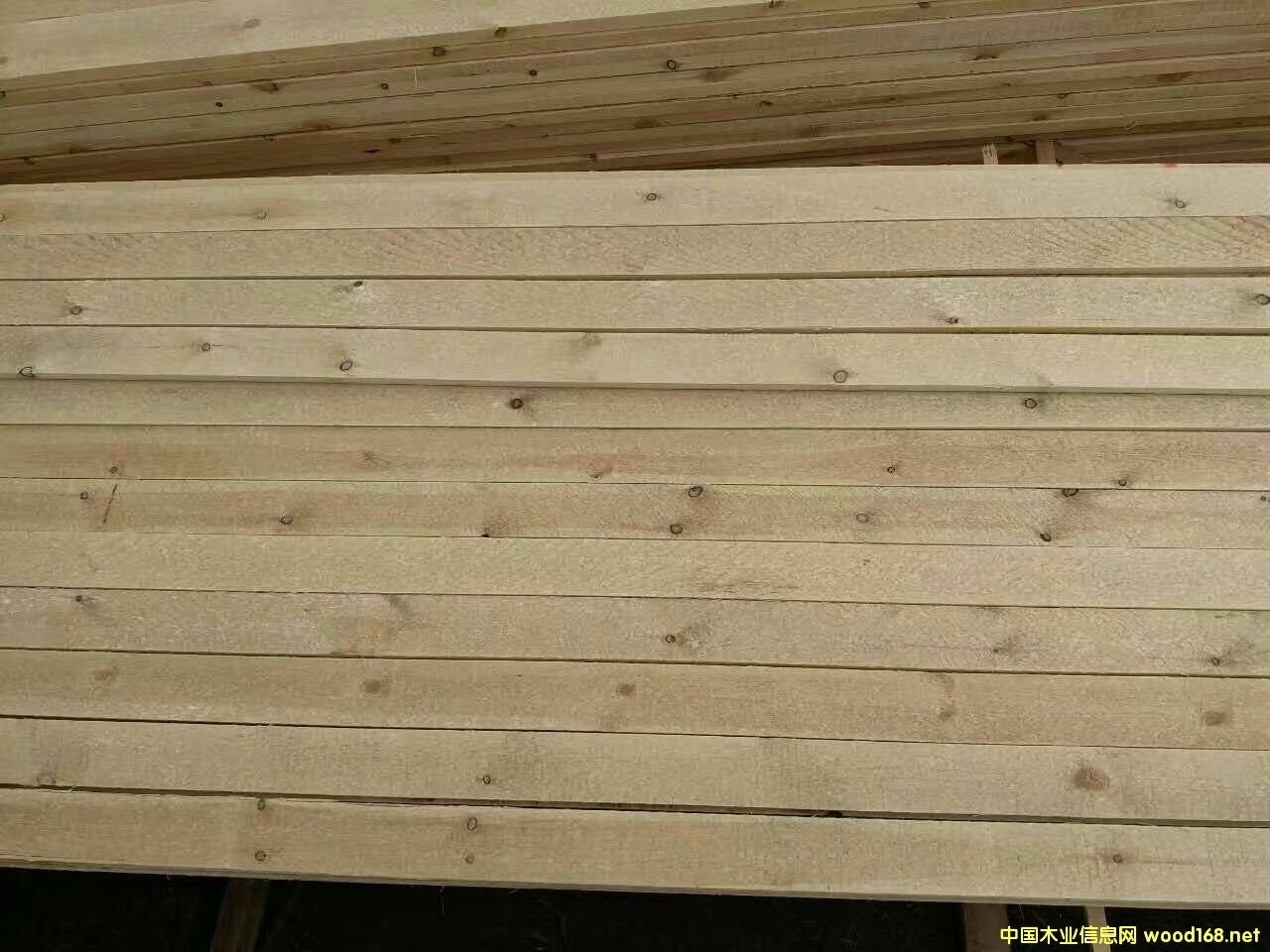 �����ɸɰ�