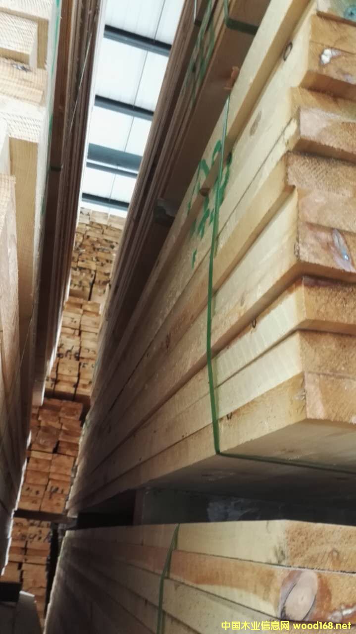 ������ë��