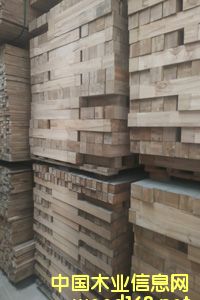 ��ľ�ȣ��NƤ��