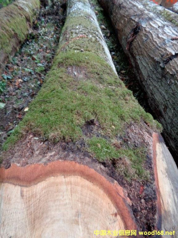 �t��2016-3��Ԕ��(x��)��B