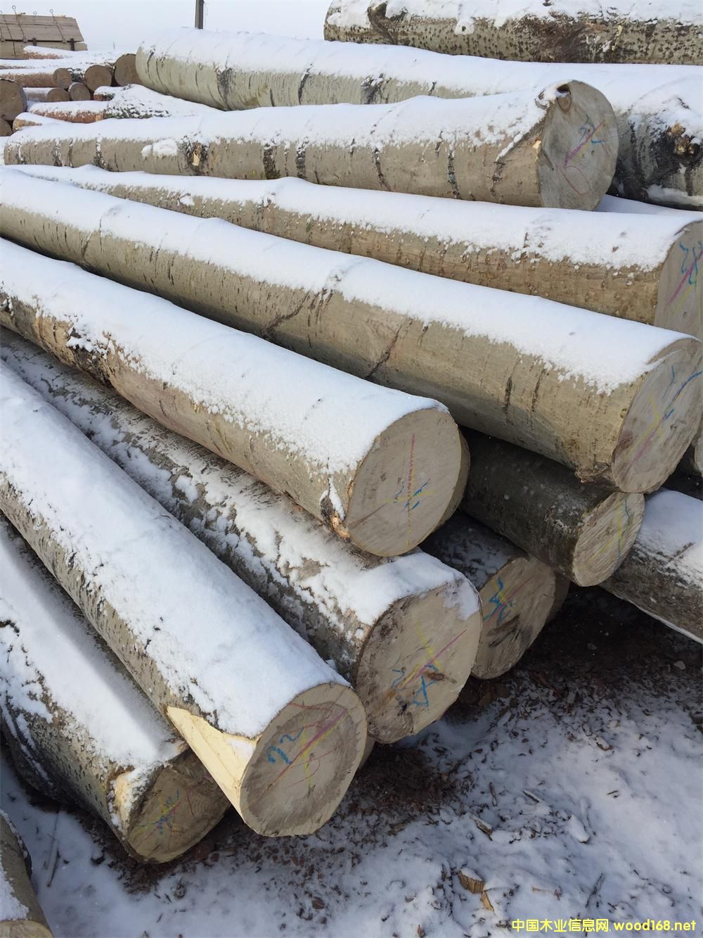 ��ľ4��6��ԭľ��Ԕ����B