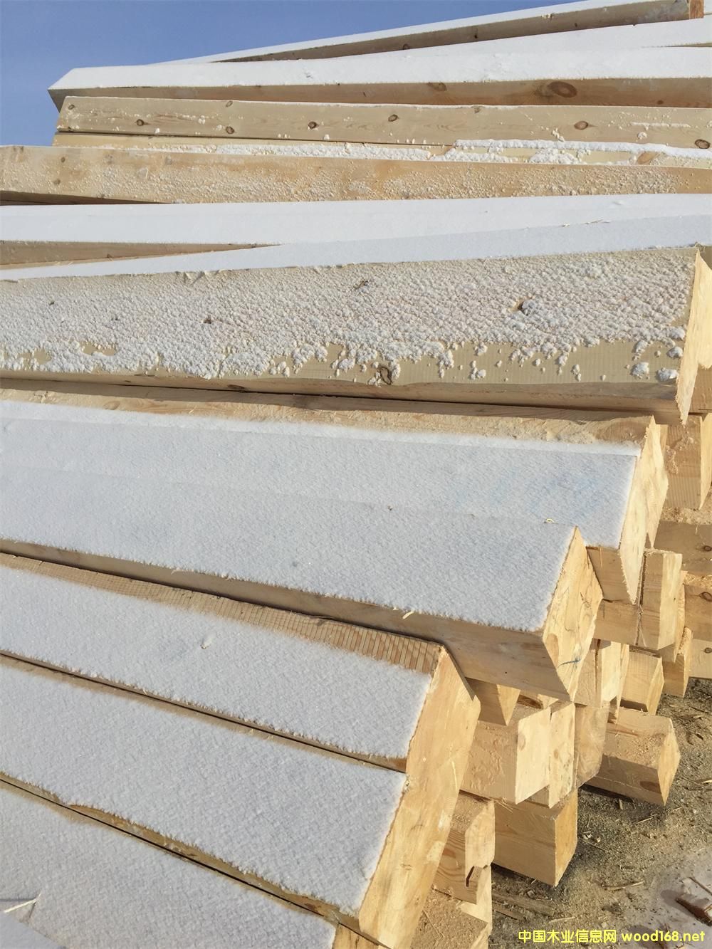 ������100��200��6000��ľ��Ԕ����B