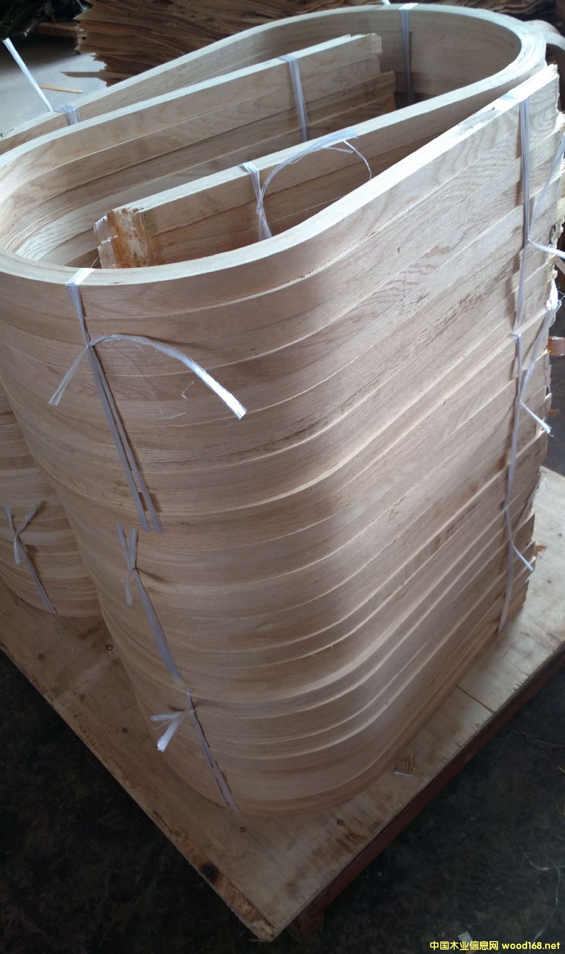 ����˹�ա����ΰ匣�íh(hu��n)����ȩ��֬��ȩ�z��������ȩ�������Ԅ�