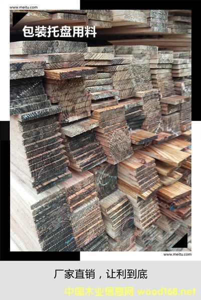 ��ɼ����