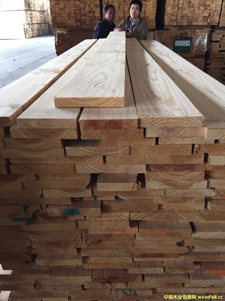 ݗ���Ɇ��湝(ji��)��Ԕ��(x��)��B