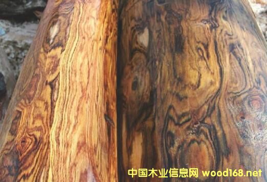 <����>����ľ����������ľ������̴��