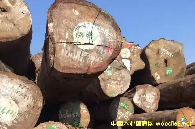 С���Rľ������������ ��ľ�����_(k��i)ʼ���۶ڷe؛Դ