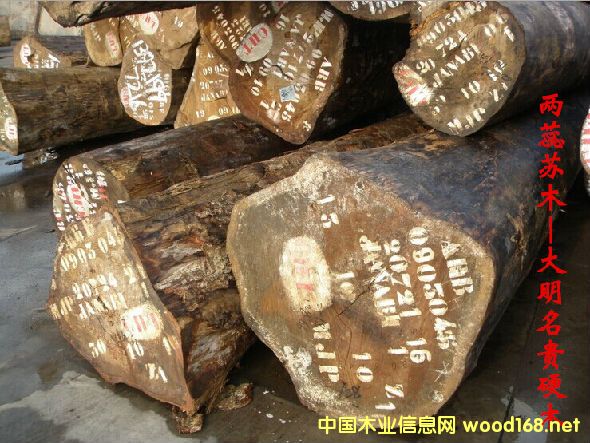 �����Kľ  �׷Q���S�|������z��ľ