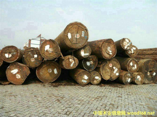 ���Ҹ�ľ���Ј�������������_�T��ռ��(j��)��������һλ��