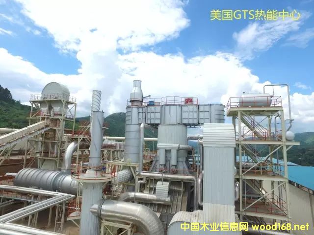 �������w��������������