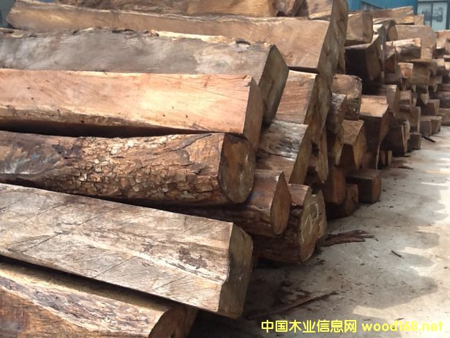 ���޻����������tľ