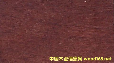 ���黨��ľ�ļy��