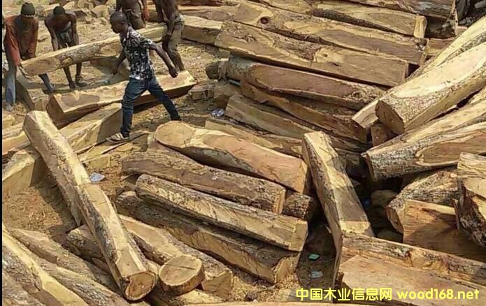 �tľԭ�Ĕ�(sh��)���J�p�r�񯂝q �Ҿ���I(y��)��Α�����