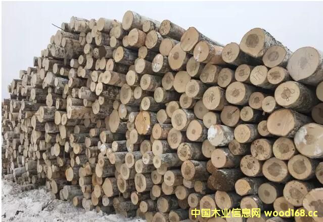 ���_˹��ľ��ֹ���ڣ��Ї���ľ�ӹ��ИI(y��)����ȥ�Ώ���