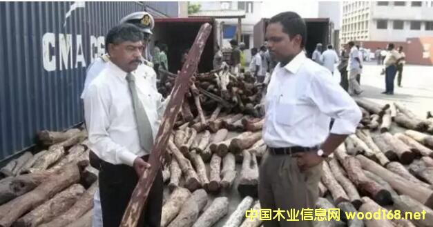 ��һ��ǧ������̴��˽������W(w��ng)���P�cС�~��̴��˽