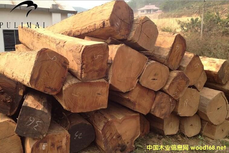 δ��(l��i)�tľ�Ј�(ch��ng)�����黨��Q���ѳɶ���