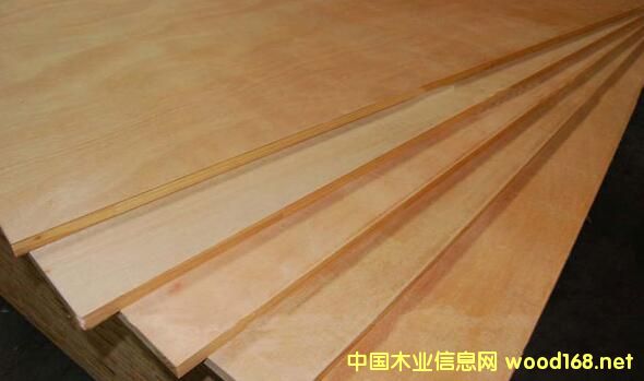 ��о��--�]���N�棬��Ҫ�N��������NľƤ