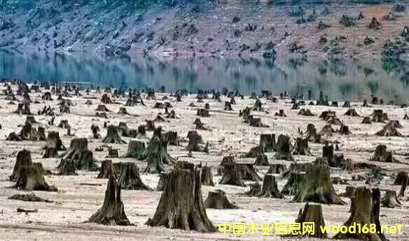 ����(j��ng)�����[�[�Ĵ������黨���(sh��)��