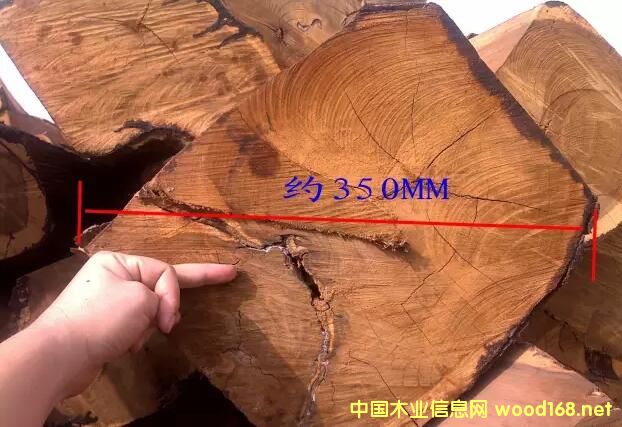 �����̴��ð��ɼ���ľ����������ӏ�(qi��ng)�O(ji��n)�ܽ�ֹ����