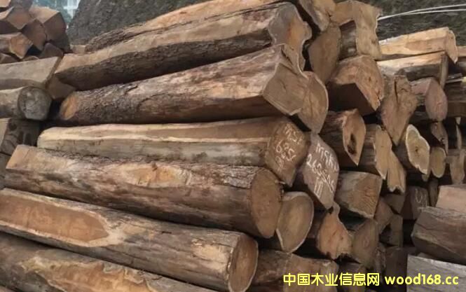 �����̴�Ј����F(xi��n)�������r���ػؚvʷ��λ