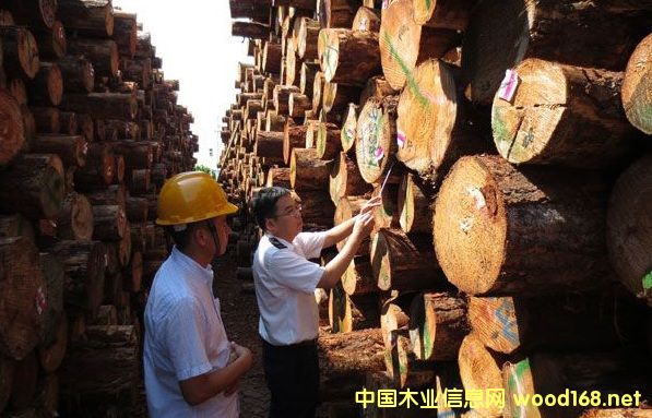 ����ԭľ�M(j��n)�ڷ�(w��n)�����L(zh��ng)