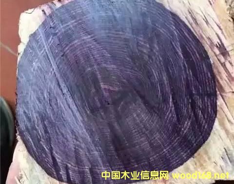 ِ���S̴:��һ�Nð�亣���S�����ľ��,���ƶ��_90%