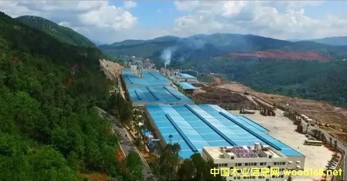 ���w��������������߻��(d��ng)��ͦ�������|(zh��)����