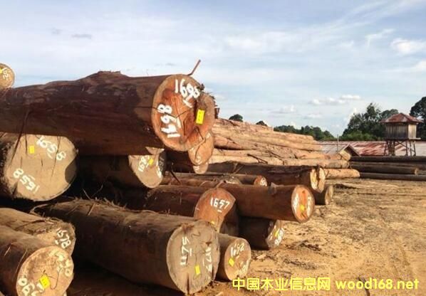 ��N����ݗ���ɡ������������ձ������W����������ɼ��Ʒ�N