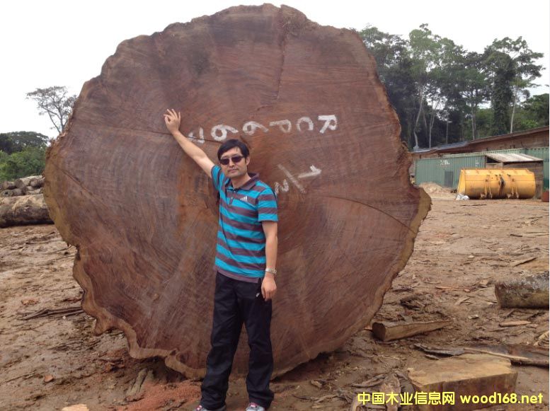 ����ľ�I(y��)-ǧ�꾫Ʒ�ͻ���