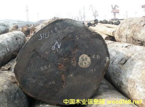 ���鼊�����D(zhu��n)���W���r��q�����