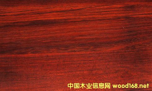 ���FӲľ�òļ������Fľ������̴���ă�(y��u)ȱ�c