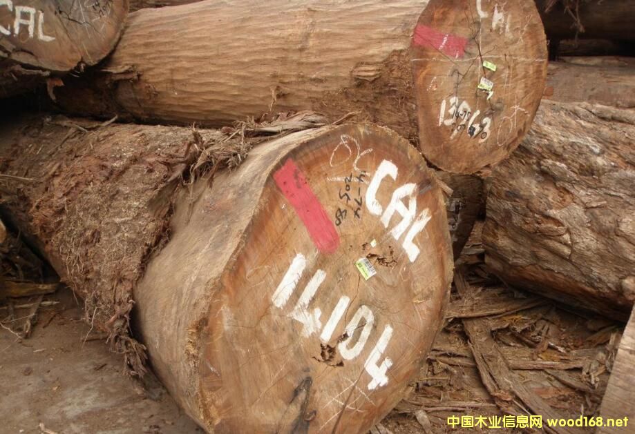 ���_�T(m��n)ľ��-���ǹ���CAL��CL�� ԭľ