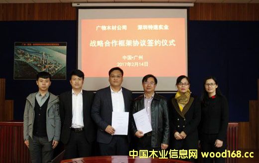 �������ٌ�(sh��)�I(y��)�c�V��ľ���_(d��)�ɑ�(zh��n)�Ժ��� ����ľ�Įa(ch��n)�I(y��)���ٰl(f��)չ