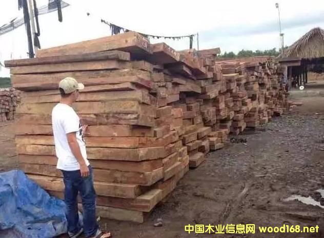 ����ľ���ꌢ�oľ�������tľ�Ј�����Ч��(y��ng)�_ʼ��