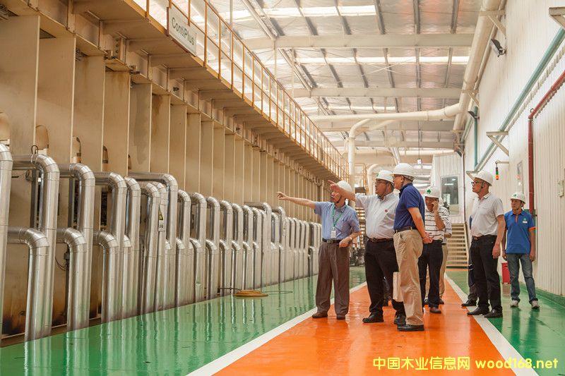 �S�ּ��F����幫˾����ꖹ��S��