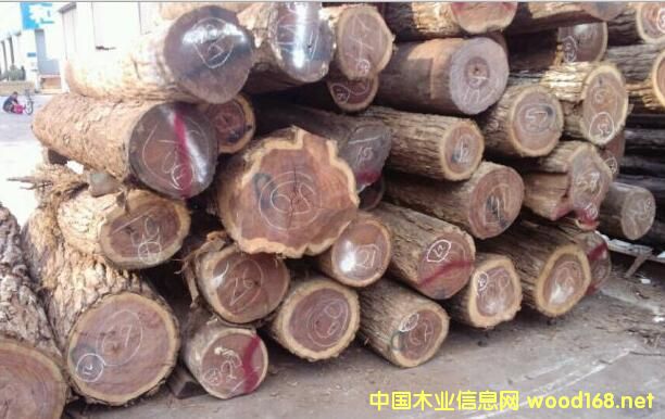 ľ���Ј�����^�죺�׃������������֦���r(ji��)����������ʷ��������