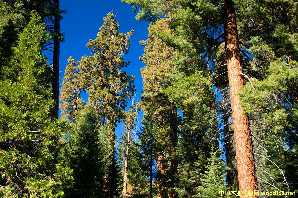 �Ї��M�ڱ�����~�İ���_���ž�