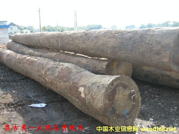 木材樹種詳解--奧古曼 俗稱非洲紅胡桃、加蓬欖