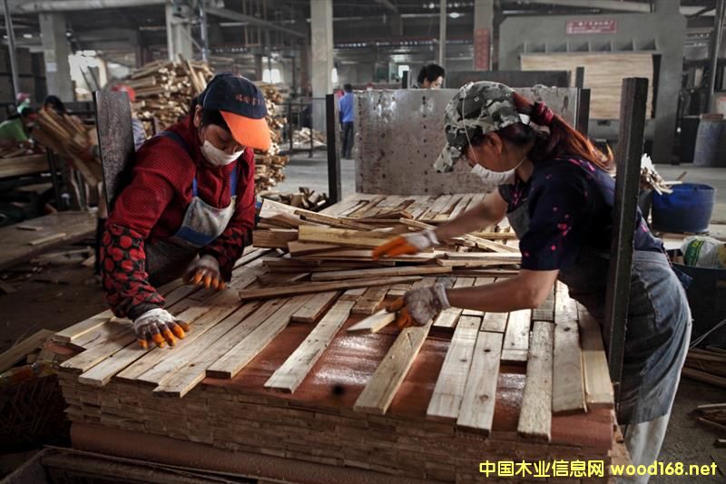 ���ҽ縻����ľ�I(y��)��������ʣľ���_(d��)5�f������