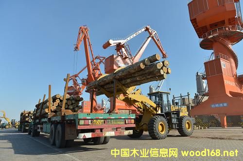 ������ľ�Įa(ch��n)�I(y��)���ؽ��O(sh��)��r