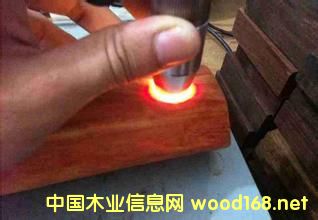 �tľ��DNA�z�y(c��)����(sh��)�F(xi��n)�o�p����?zh��n)? border=