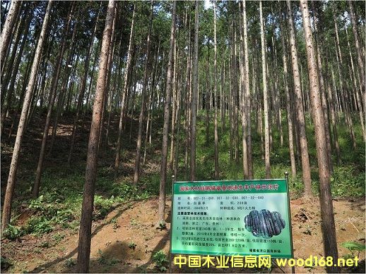 ��(chu��ng)�����(w��n)�����Mľ�đ�(zh��n)�ԃ�����ؽ��O(sh��)