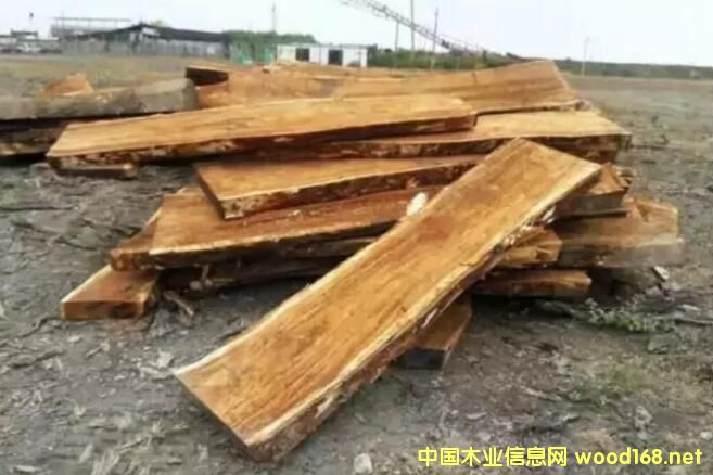 ���(sh��)ԭľ-��� ľ�ļy��