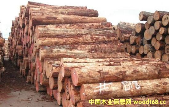 �����mݗ����ԭľ���m(x��)�q�r(ji��)������(n��i)�����Ј�����������