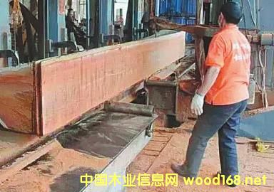 һ���tľ����ٽ�Ҿ�߀��һǧ��ٽ�ȥ�ă�����