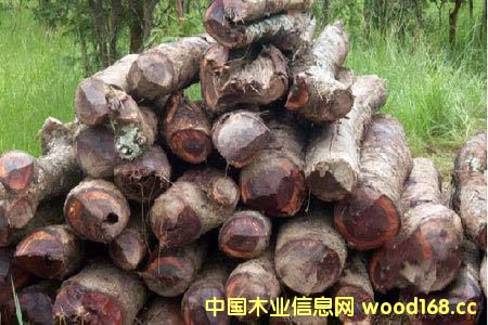 ���޲ļ������S�ݡ� ���������������ȁ���ٝ�ȁ����^��ֹԭľ��