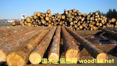 ������~�Įa(ch��n)�����������L3%