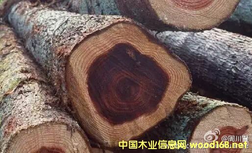 ���޲ăr(ji��)���ձ�q�r(ji��)200-400Ԫ/������