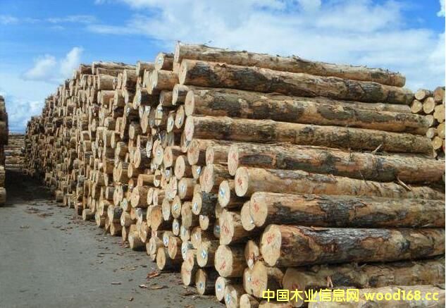 ԭľ�������� �������ľ�ļӹ��S���R�ÆT