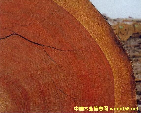 ���H��(li��n)��棺ȫ��딵(sh��)�Ƿ�ľ��������ӡ �������W����